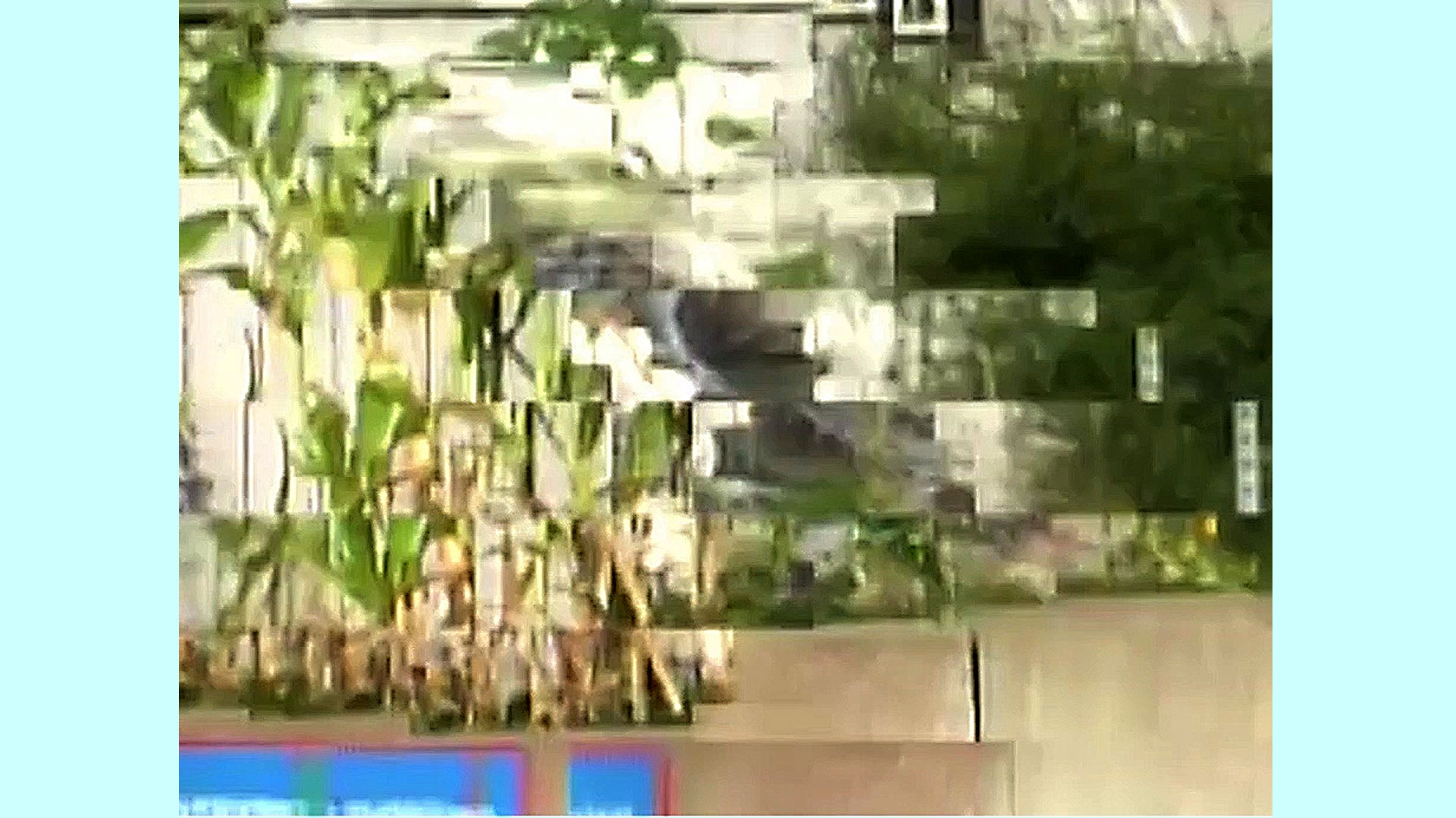 glitch